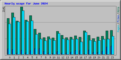 Hourly usage for June 2024