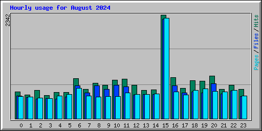 Hourly usage for August 2024