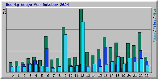 Hourly usage for October 2024