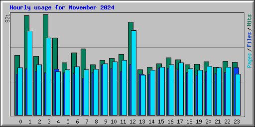 Hourly usage for November 2024