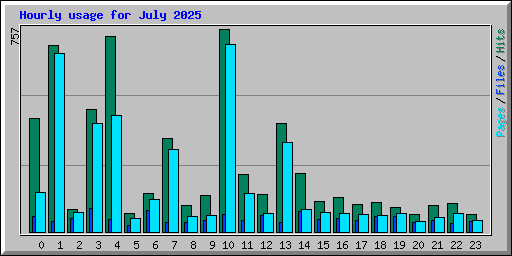 Hourly usage for July 2025