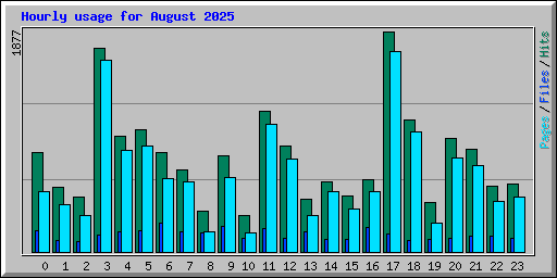 Hourly usage for August 2025