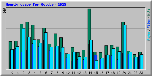 Hourly usage for October 2025