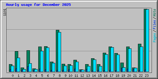 Hourly usage for December 2025