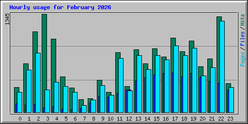 Hourly usage for February 2026