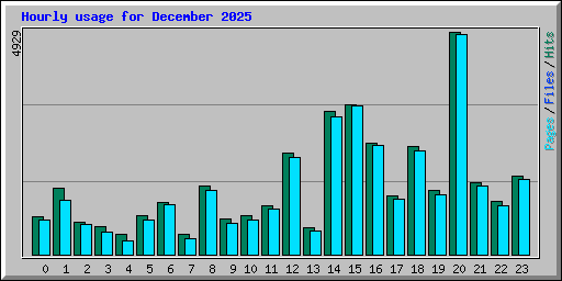 Hourly usage for December 2025