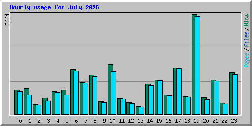 Hourly usage for July 2026