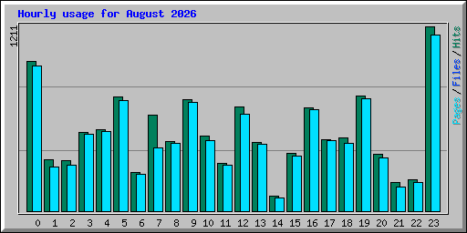 Hourly usage for August 2026